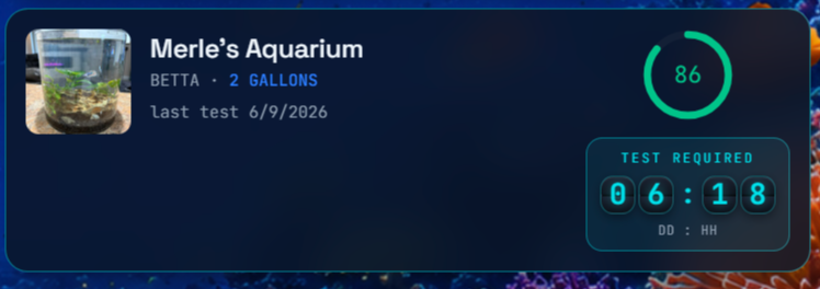 Live health score and test countdown for every tank
